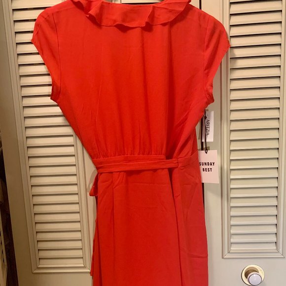 Aritzia Sunday Best Savoy dress-SOLD* - Picture 6 of 6